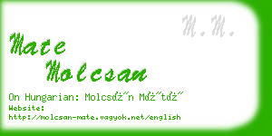 mate molcsan business card